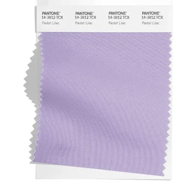 PANTONE 14-3812.png